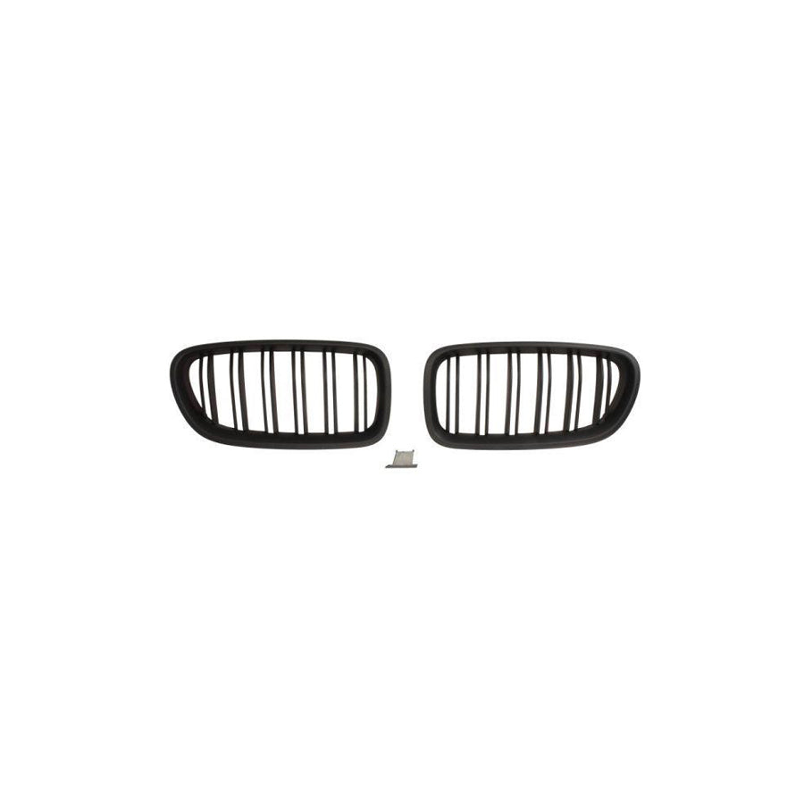 Blic 6502-07-0067992Kp Radiator Grille for BMW 5 Series