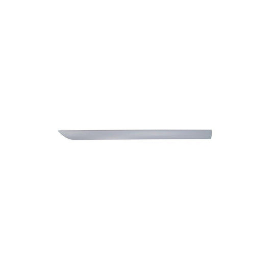Blic 5703-04-2532575P Door Molding for Ford Focus