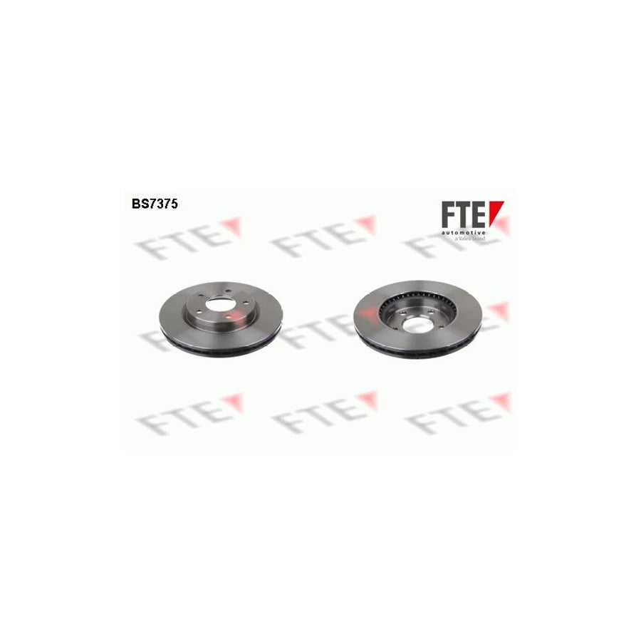 FTE 9072446 Brake Disc