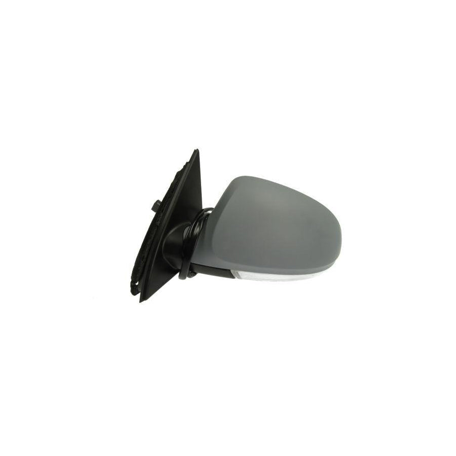 Blic 5402-04-1121118P Wing Mirror for VW Passat