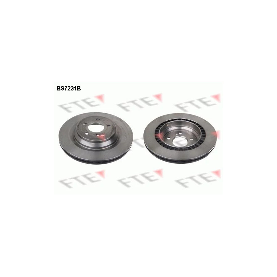 FTE Bs7231B Brake Disc