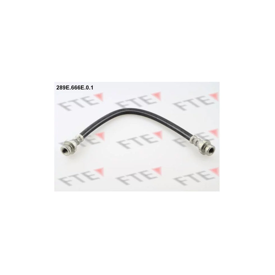FTE 289E.666E.0.1 Brake Hose for Nissan Primera