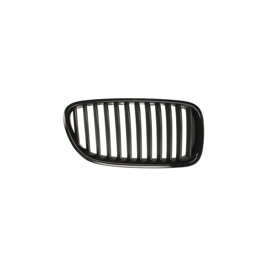 Blic 6502-07-0067991P Radiator Grille for BMW 5 Series