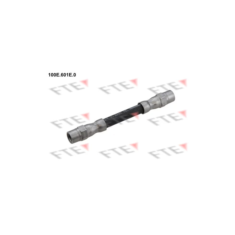 FTE 100E.601E.0 Brake Hose