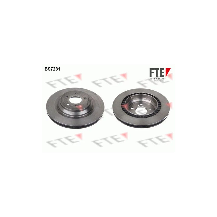 FTE Bs7231 Brake Disc