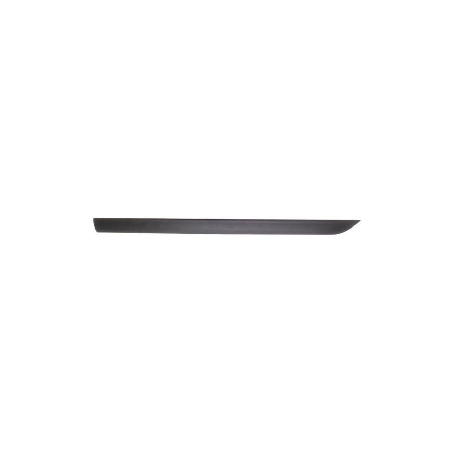 Blic 5703-04-2532572P Door Molding for Ford Focus