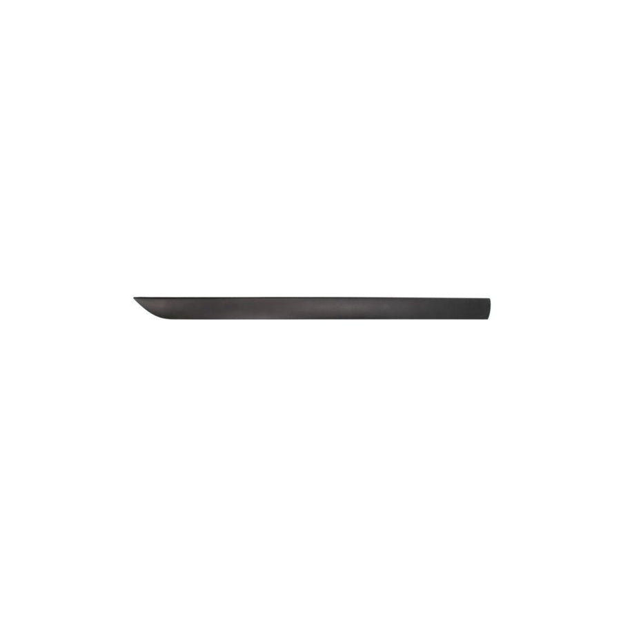 Blic 5703-04-2532571P Door Molding for Ford Focus