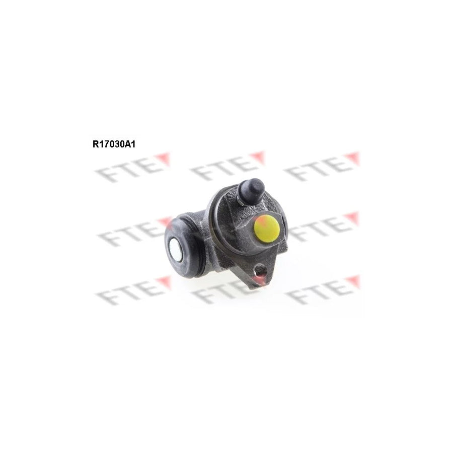 FTE R17030A1 Wheel Brake Cylinder for Ford Fiesta