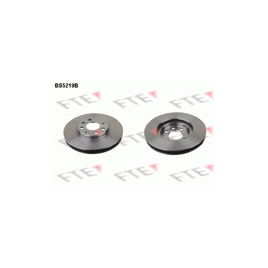 FTE 9082411 Brake Disc