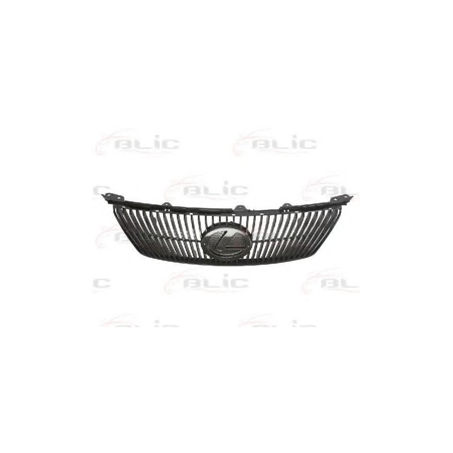 Blic 6502-07-8171990P Radiator Grille for Lexus Is II Saloon (Xe20)