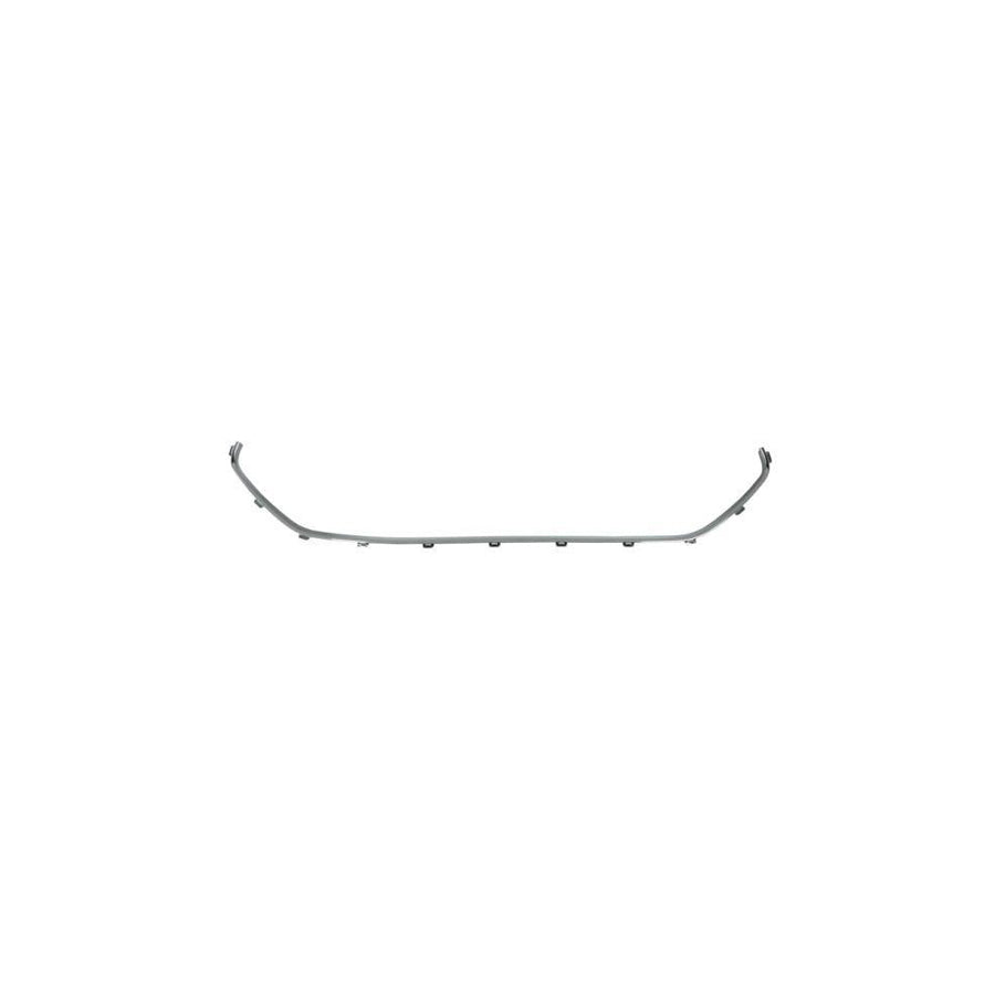 Blic 5513-00-0531996P Bumper Moulding for Citroen C3