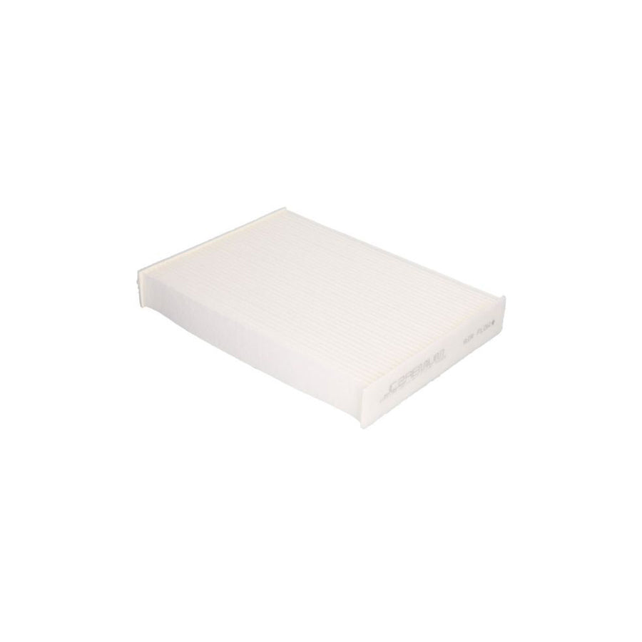 JC Premium B4R037PR Pollen Filter