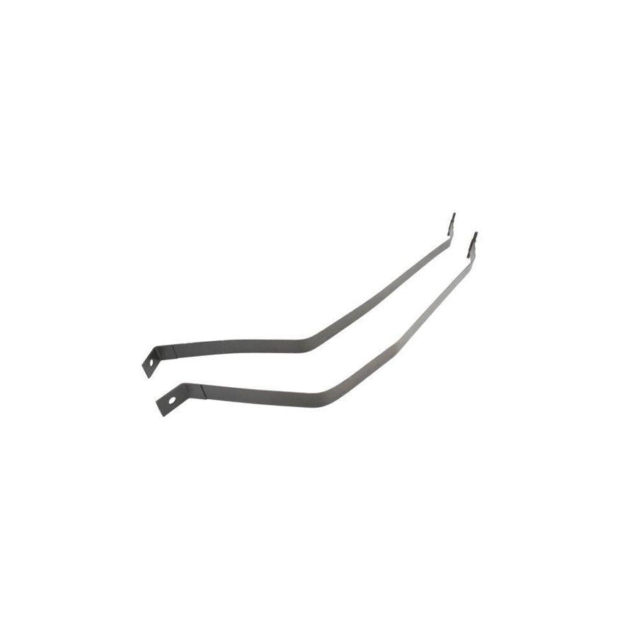 Blic 6907-00-3169030P Holder Set, Fuel Tank for Hyundai Sonata V (Nf)