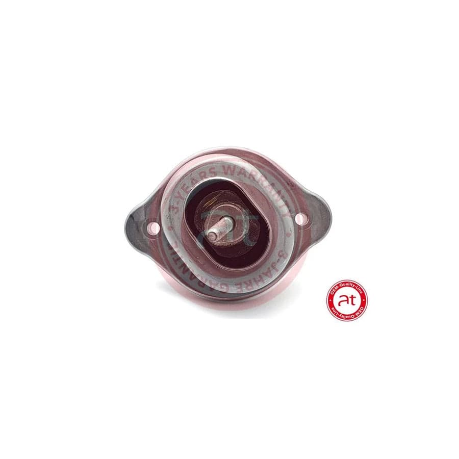 at autoteile germany At11374 Engine Mount for BMW X3 (E83)