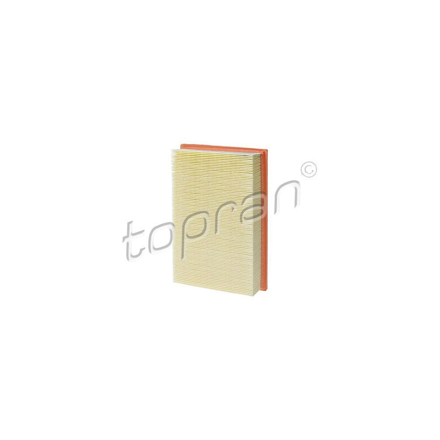 Topran 103 175 Air Filter