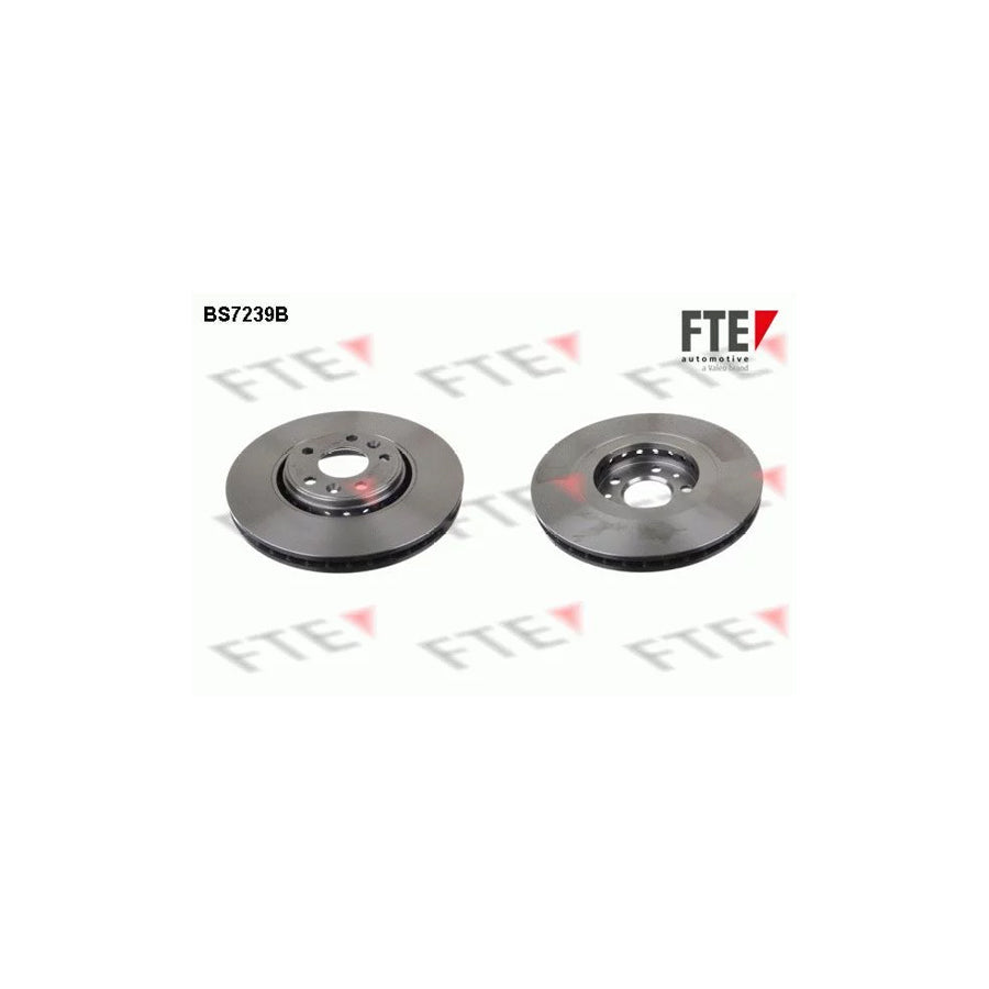 FTE Bs7239B Brake Disc