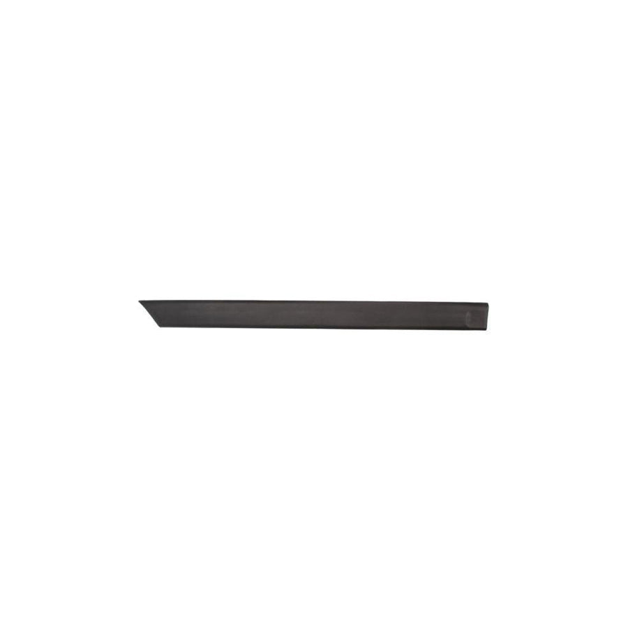 Blic 5703-04-2530574P Door Molding for Ford Escort