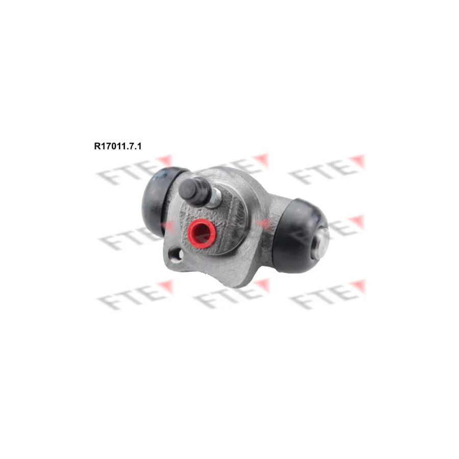 FTE R17028.7.1 Wheel Brake Cylinder