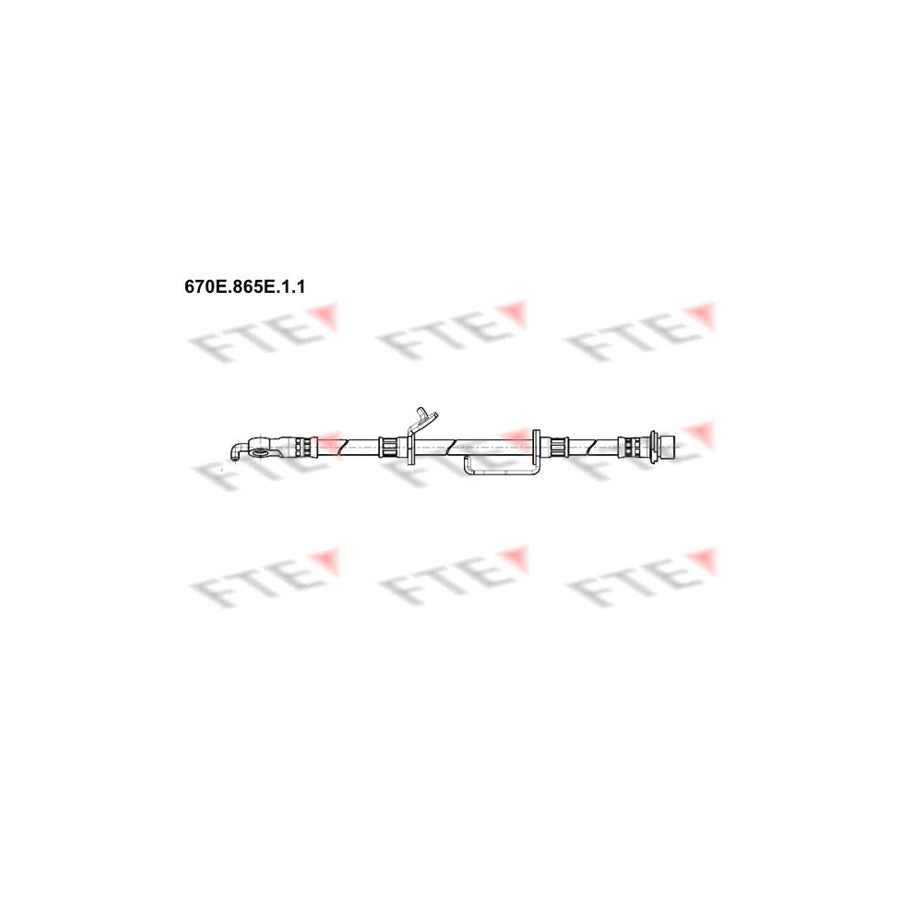 FTE 670E.865E.1.1 Brake Hose