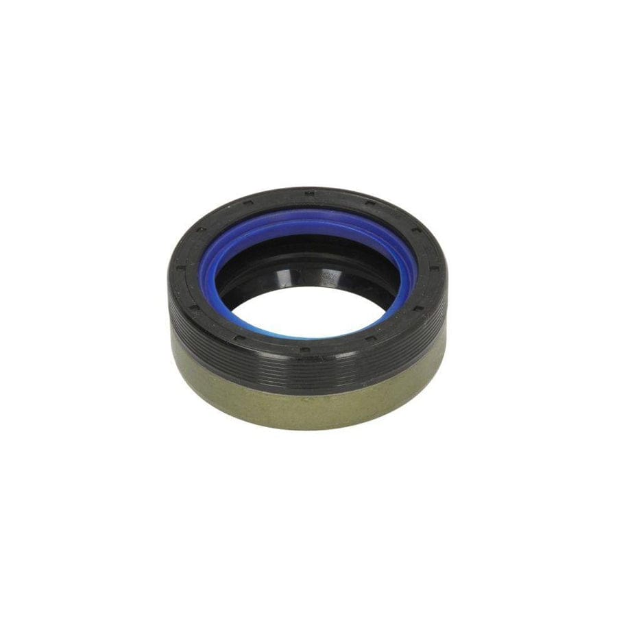 BTA B05-Ag-334 Oil Seal, Manual Transmission