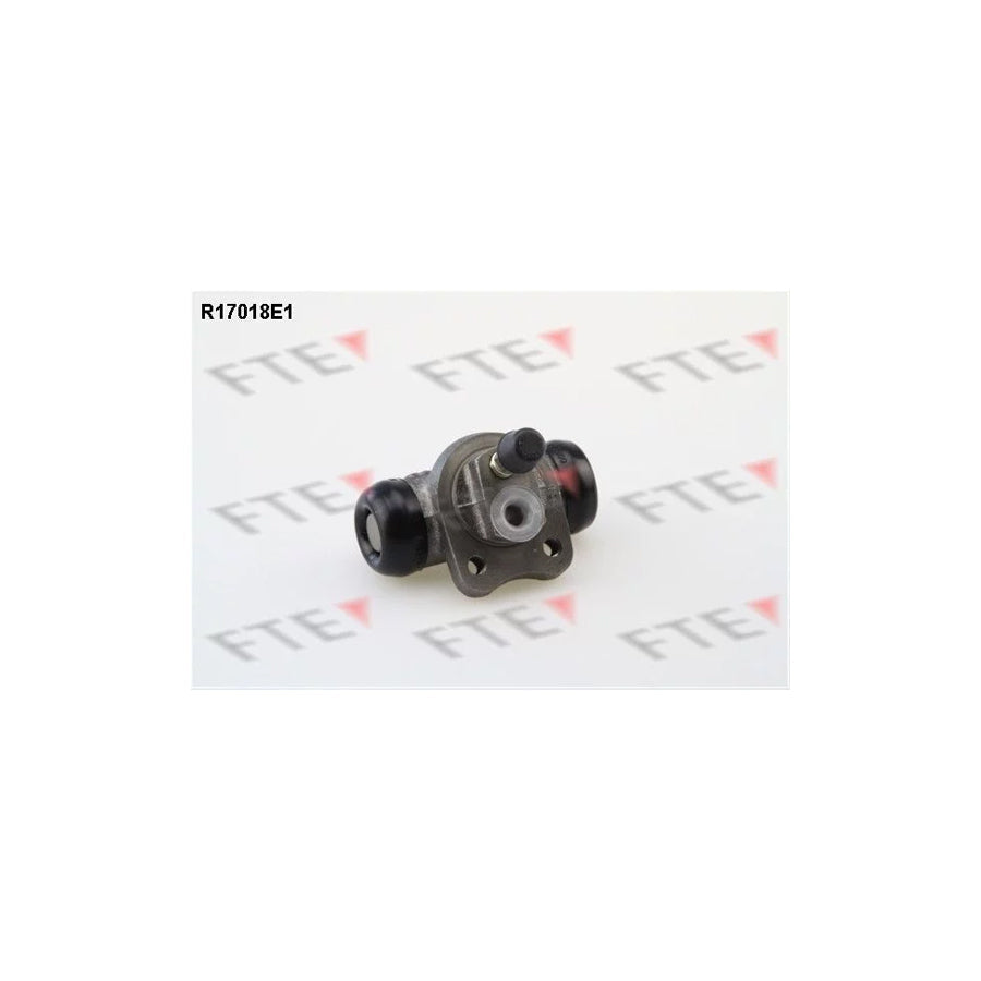 FTE R17018E1 Wheel Brake Cylinder