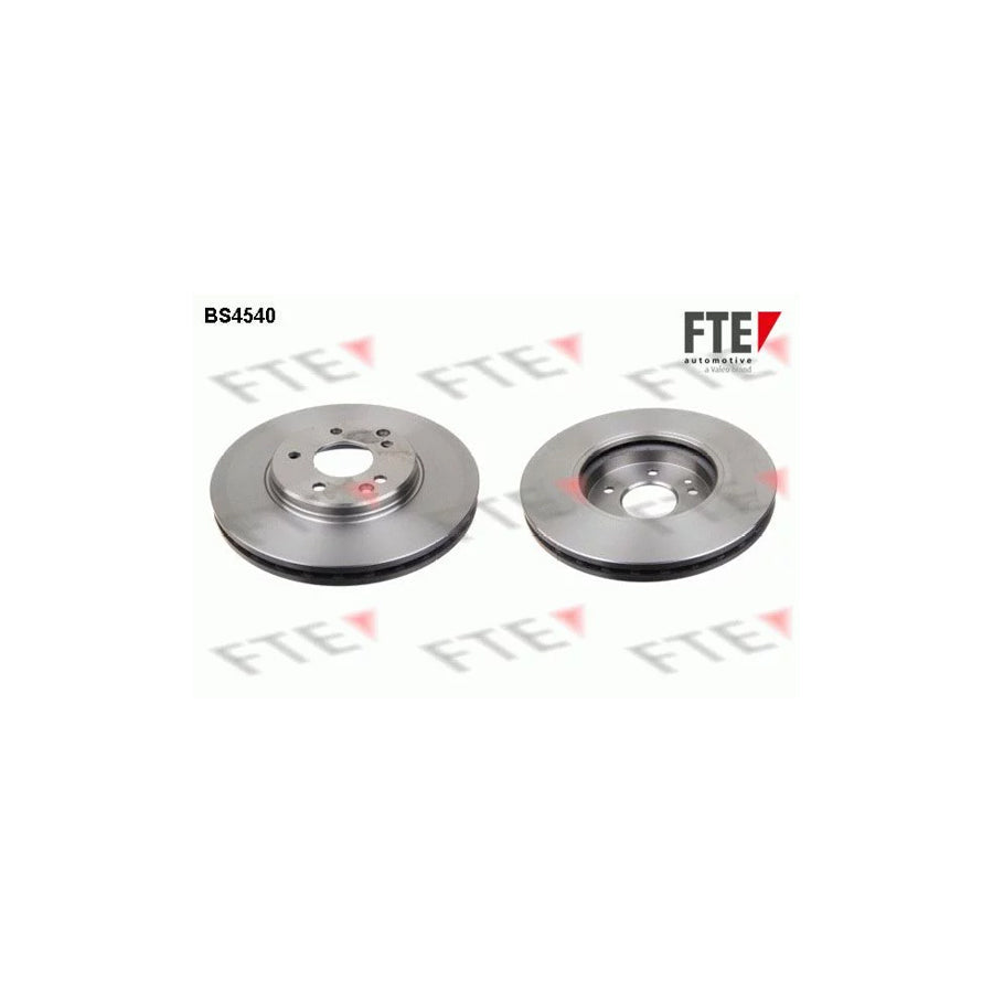 FTE Bs4540 Brake Disc