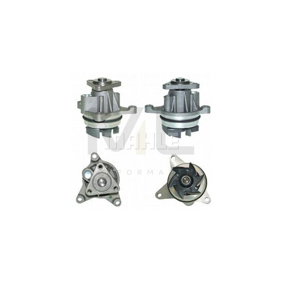 MAHLE ORIGINAL CP 141 000P Water Pump | ML Performance Car Parts