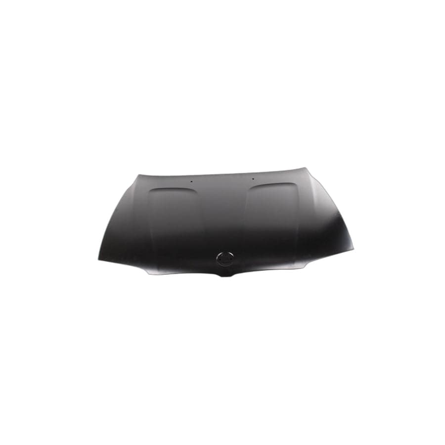 Genuine BMW 41003449411 E83 Hood (Inc. X3)