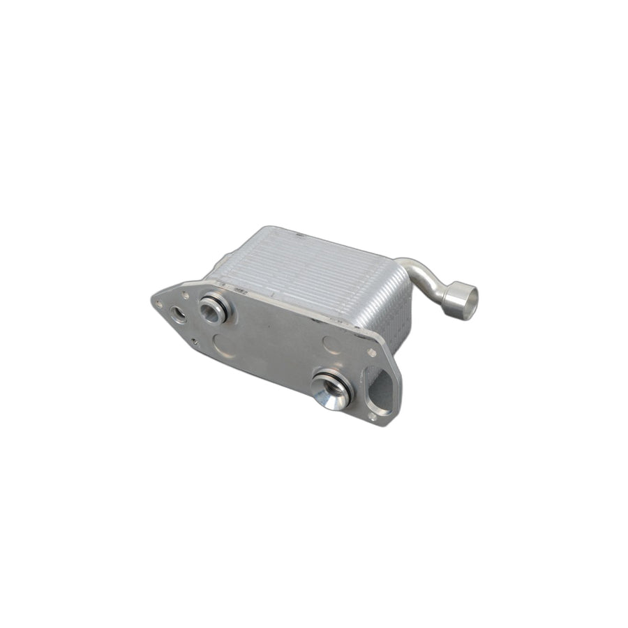 Genuine BMW 11441406695 E39 E52 Heat Exchanger (Inc. M5 & Z8)