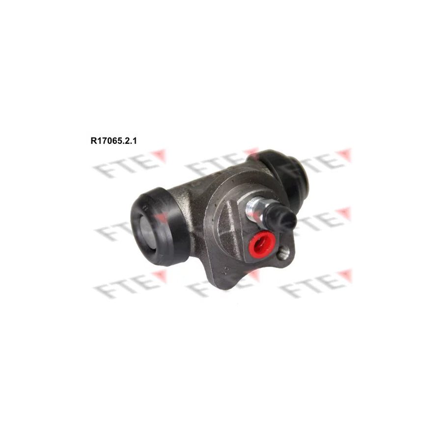 FTE R17065.2.1 Wheel Brake Cylinder