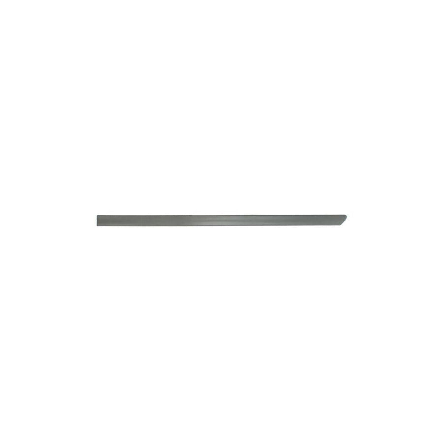 Blic 6013-00-2515716P Door, Body for Ford Transit