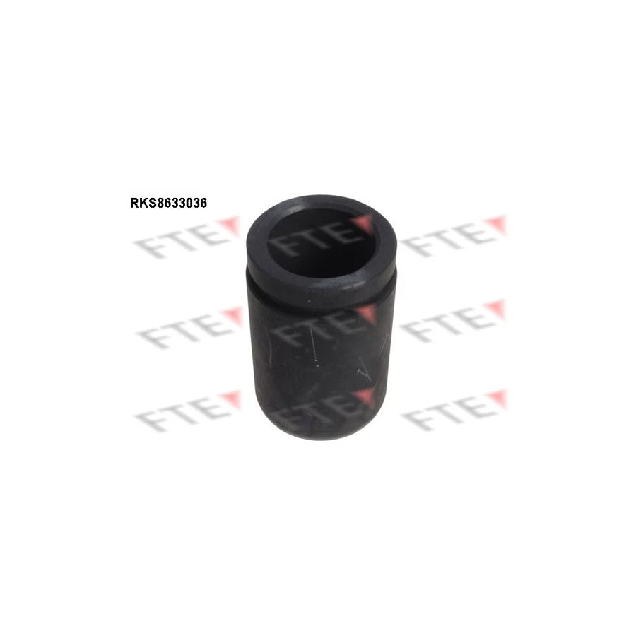 FTE Rks8633036 Piston, Brake Caliper