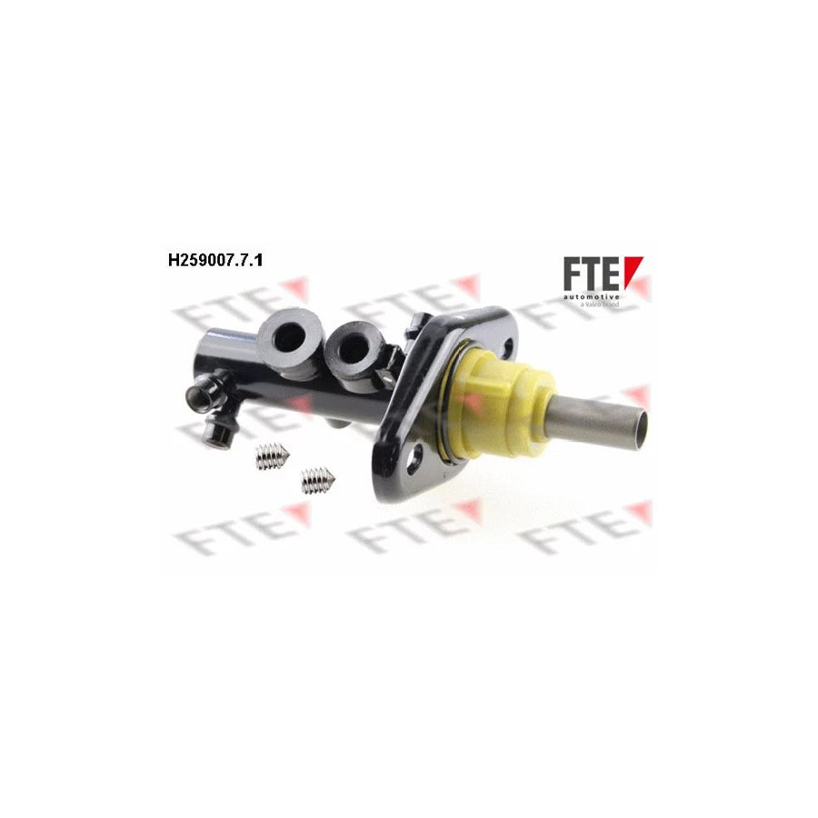 FTE H259007.7.1 Brake Master Cylinder