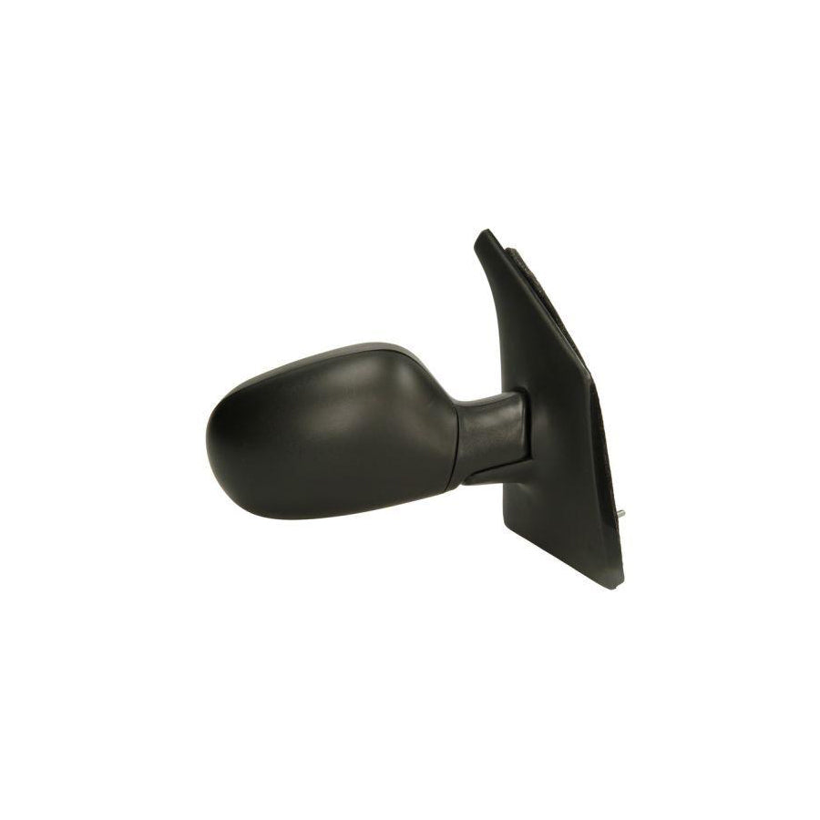 Blic 5402-04-1121236P Wing Mirror for Renault Megane Scenic (Ja)