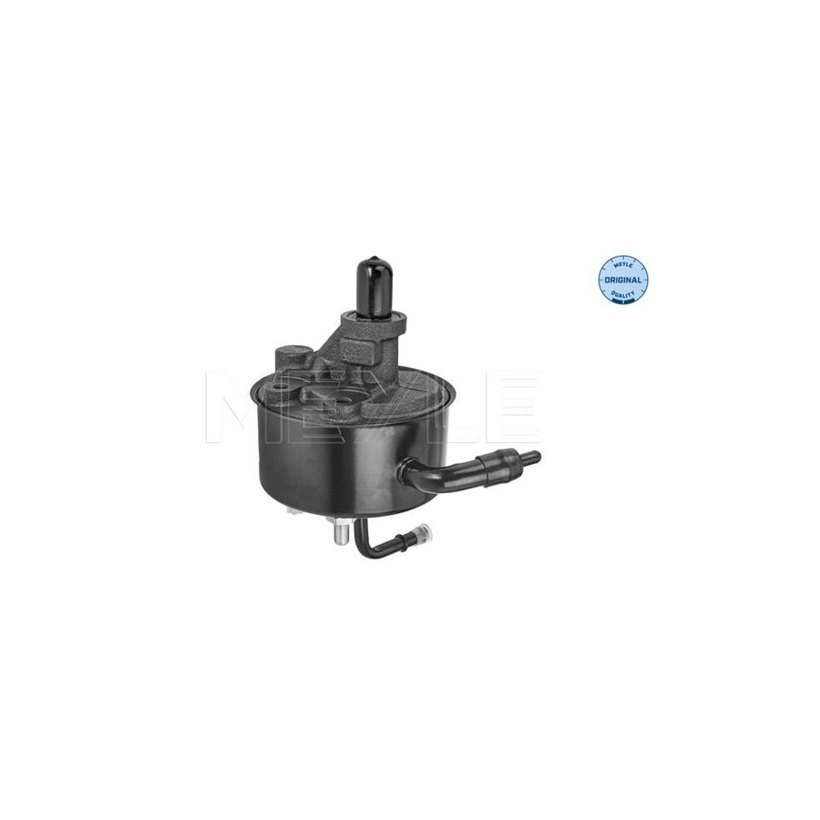 Meyle 44-14 631 0001 Power Steering Pump For Chrysler Voyager / Grand Voyager Iii (Gs)