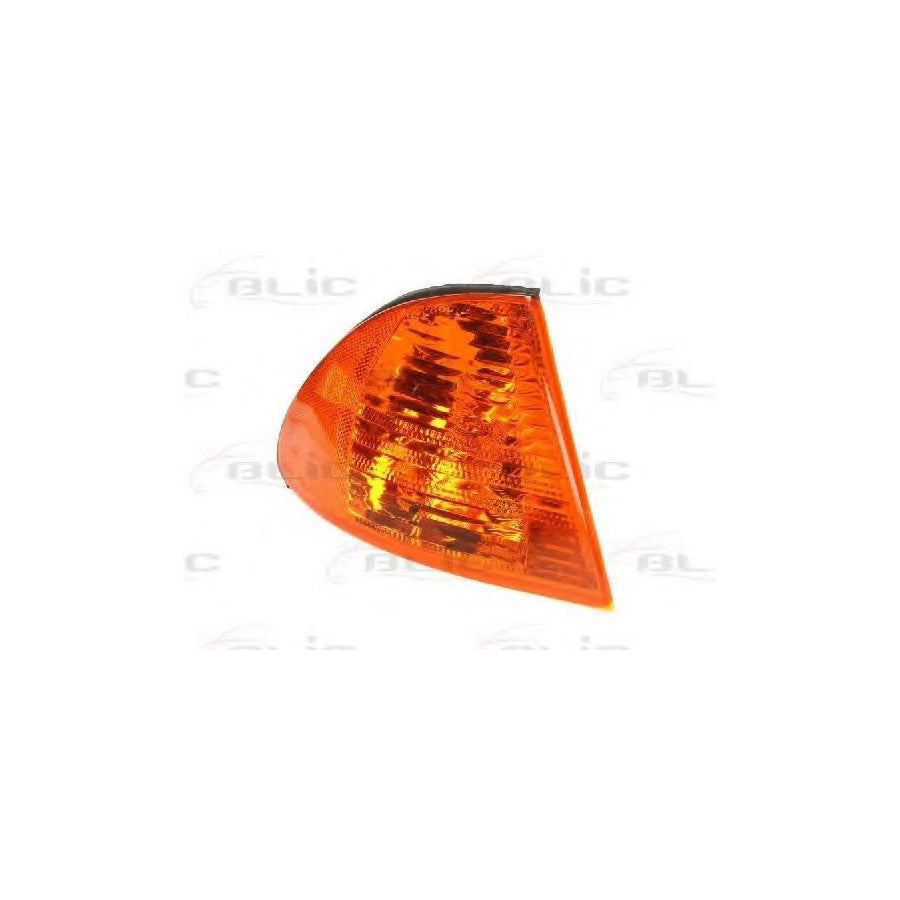 Blic 5403-05-013102P Side Indicator for BMW 3 Series