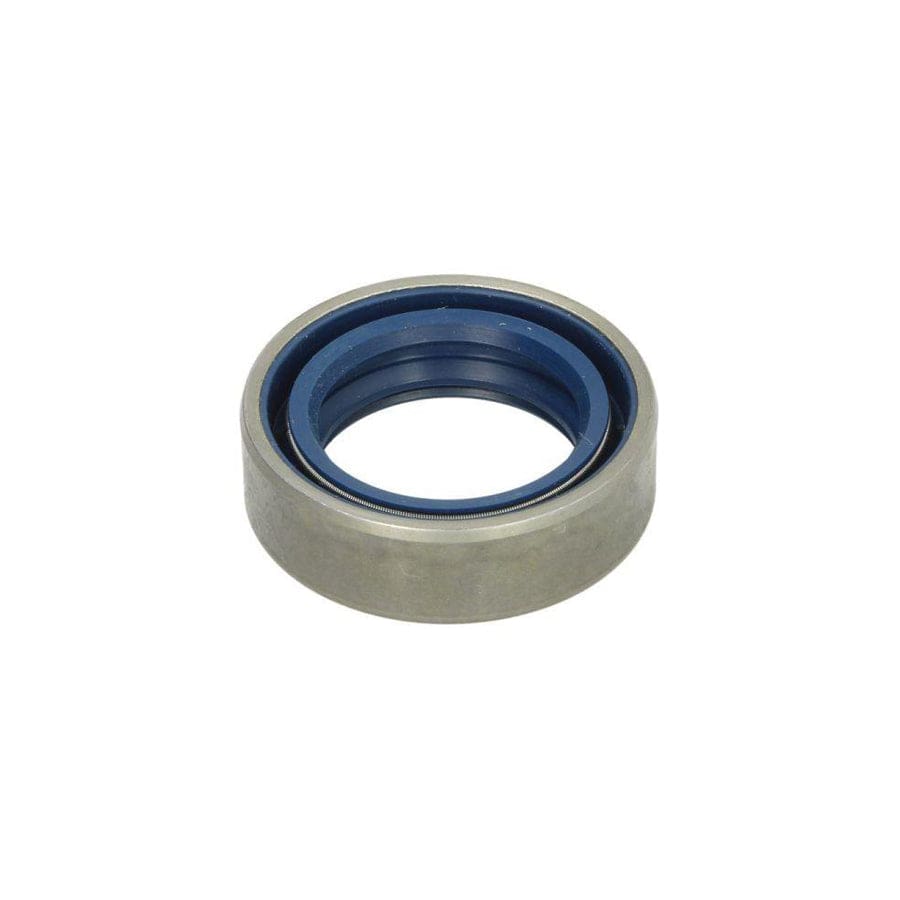 BTA B05-Ag-328 Gasket, Differential