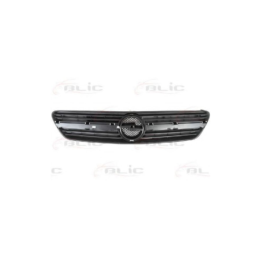 Blic 6502-07-5026991P Radiator Grille for Opel Meriva A (X03)