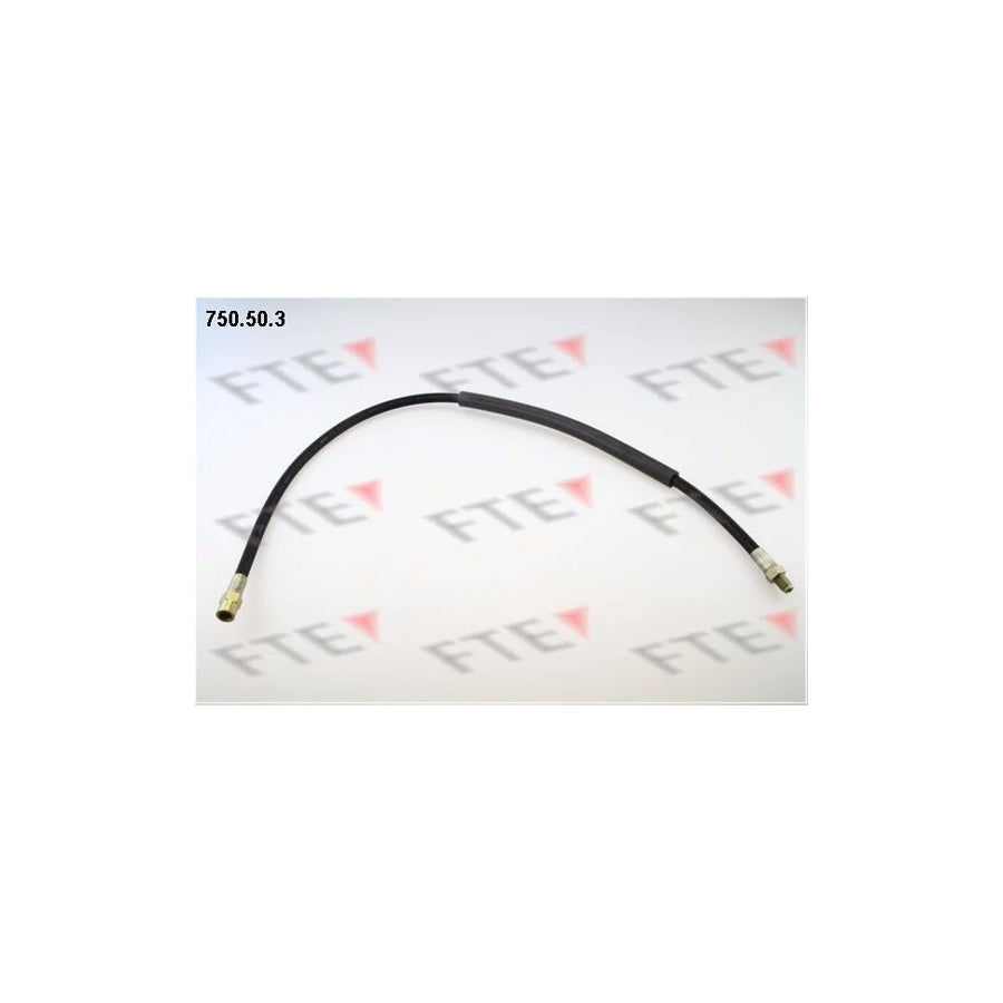 FTE 9741073 Brake Hose