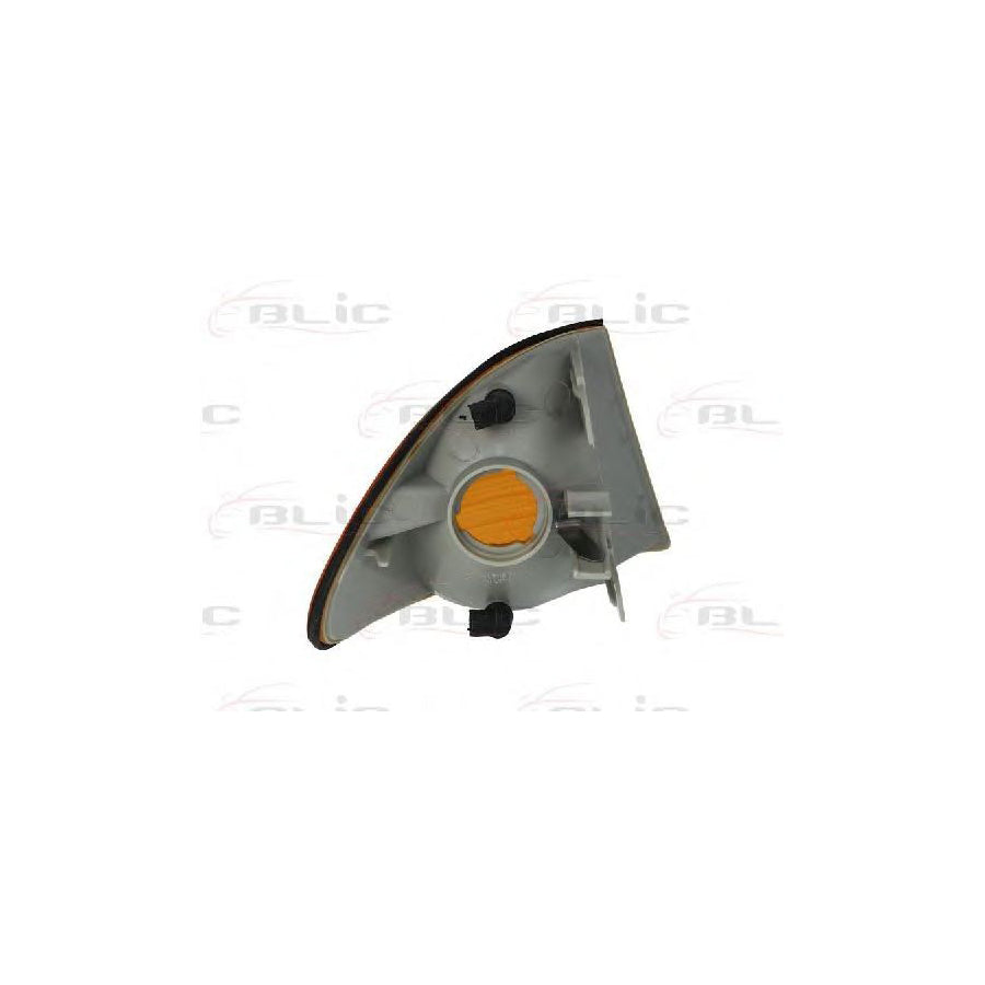 Blic 5403-05-013101P Side Indicator for BMW 3 Saloon (E46)