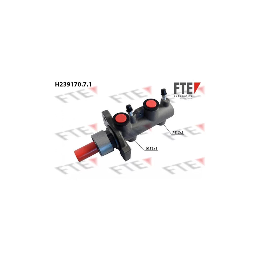 FTE 9220309 Brake Master Cylinder