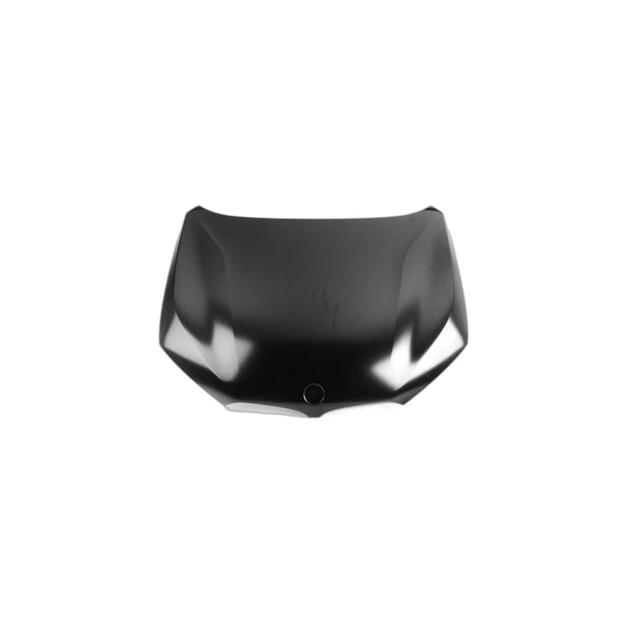 Genuine BMW 41007463772 F48 Hood (Inc. X1 18dX, X1 28i & X1 25dX)