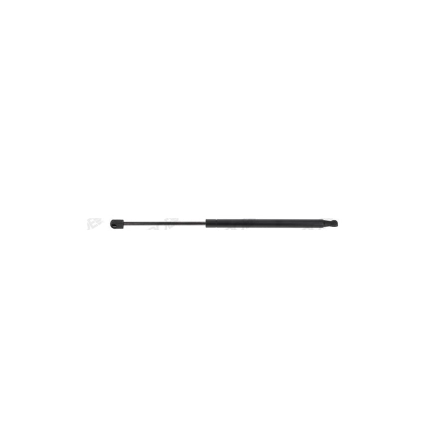 Monroe Ml6016 Tailgate Strut