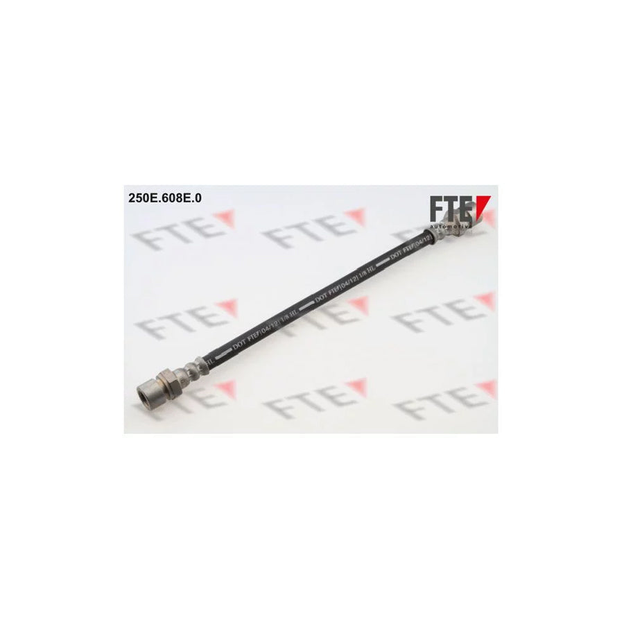 FTE 9741099 Brake Hose