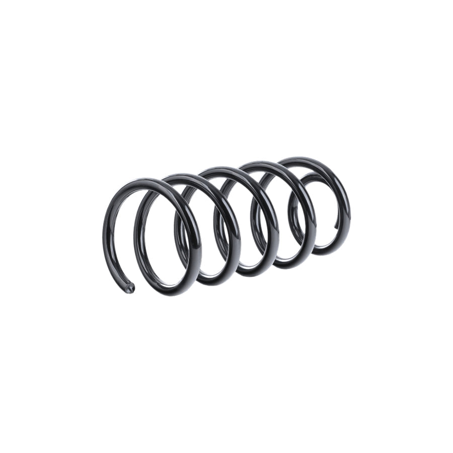 Blue Print Adk888338 Coil Spring for Suzuki Grand Vitara I Off-Road (Ft, Ht)