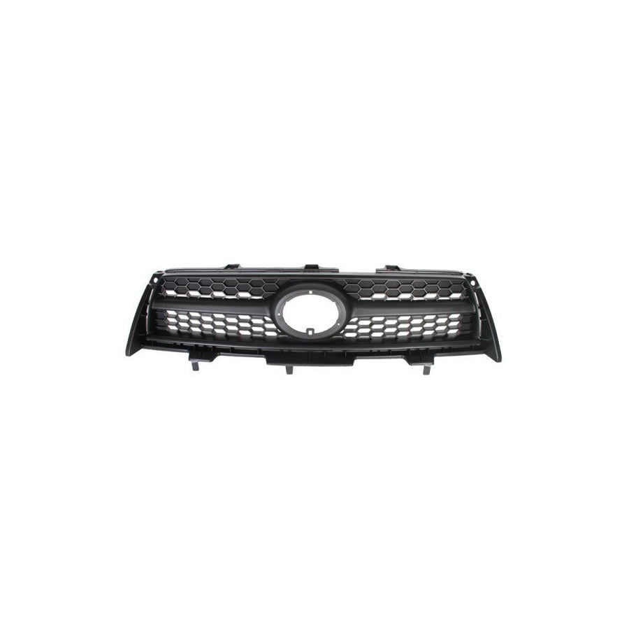 Blic 6502-07-8179992P Radiator Grille for Toyota Rav4 III Off-Road (Xa30)