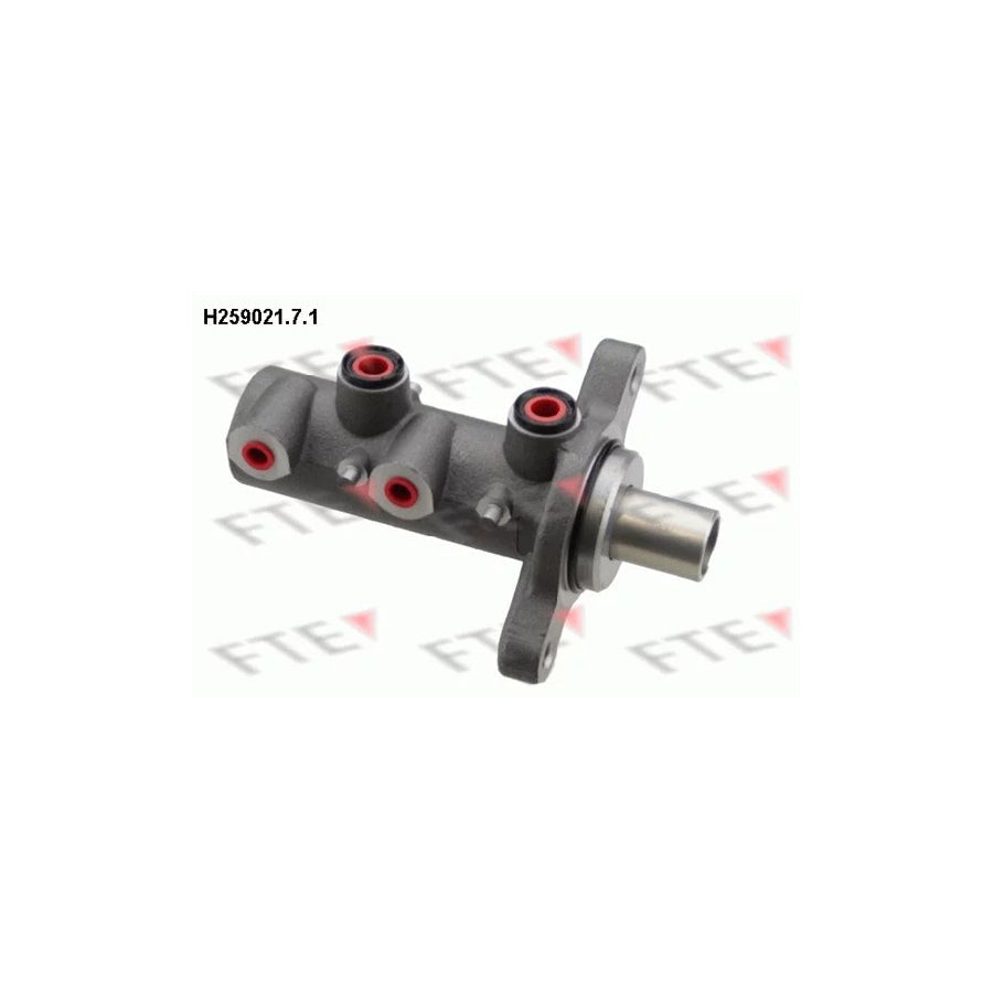 FTE H259021.7.1 Brake Master Cylinder