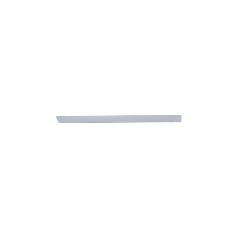 Blic 5703-04-2533578P Door Molding for Ford Focus