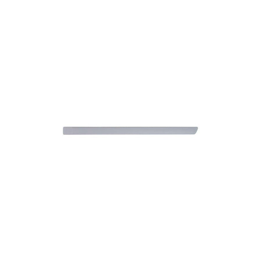 Blic 5703-04-2533577P Door Molding for Ford Focus