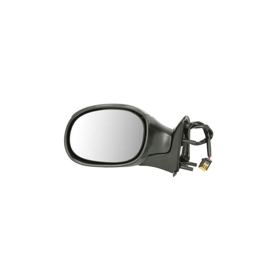 Blic 5402-04-1191339 Wing Mirror for Citroen Xsara Picasso (N68)